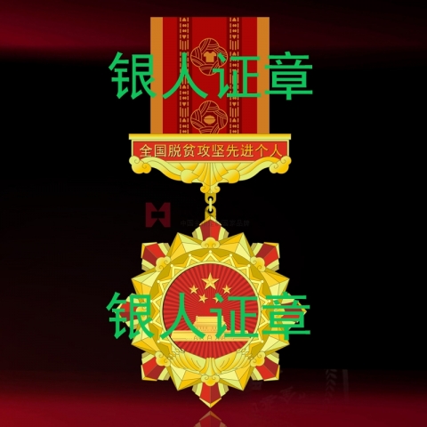 全国脱贫攻坚先进个人奖章证书