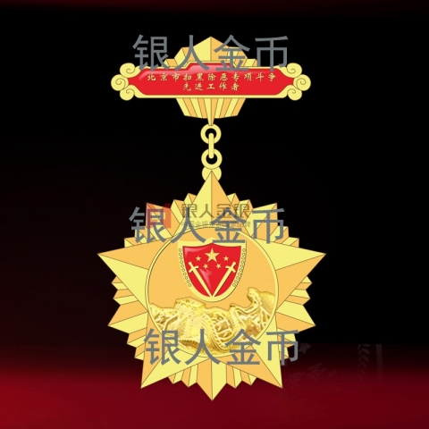 中共北京市政法委扫黑除恶先进工作者勋章