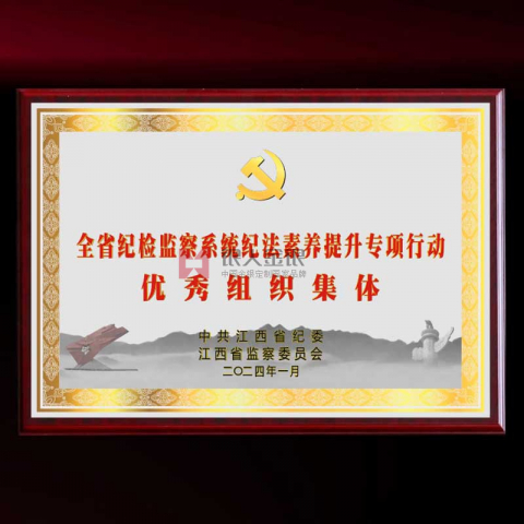 中共X省纪委监委优秀组织奖牌定制