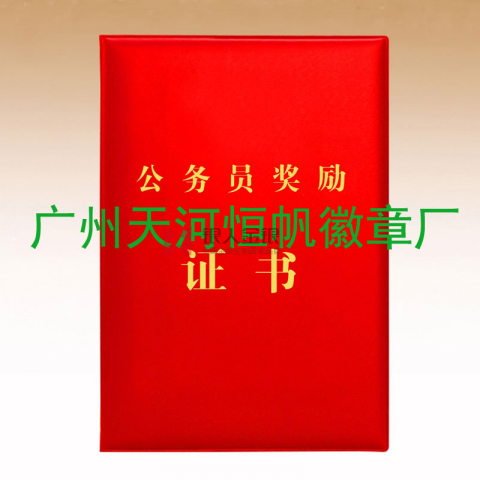 中组部公务员三等功奖励证书制作定制