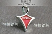 世联精英会纪念会徽,精英会纯金纯银徽章