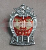 香港外科医学院高级徽章,高档金属制品,金银工艺品